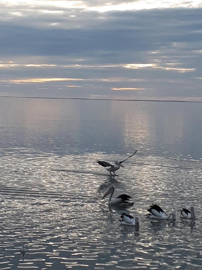 Meningie Waterfront Motel Dış mekan fotoğraf